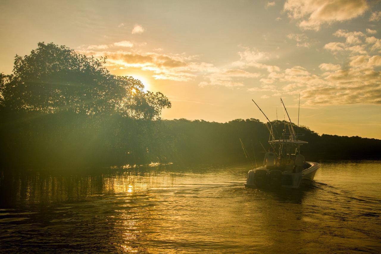 The Zancudo Lodge Bagian luar foto